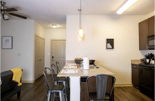 Birmingham Apartment | Travel Pro Paradise| DWTWN|UAB|Walk To EVERYTHING