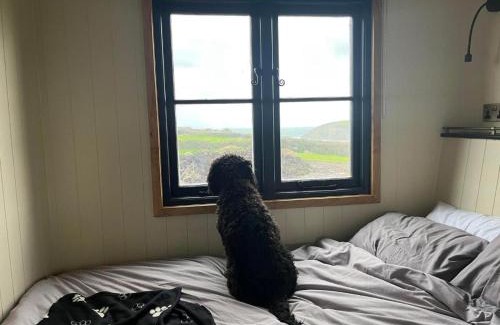 Newquay Apartment | Travellers Rest Glamping Pods & Shepherds Hut