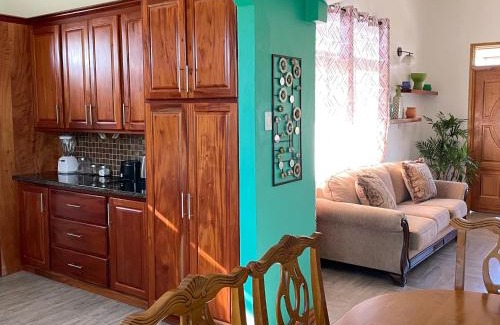 Roseau Apartment | Travellers Villa