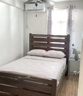 Roseau Apartment | Travellers Villa
