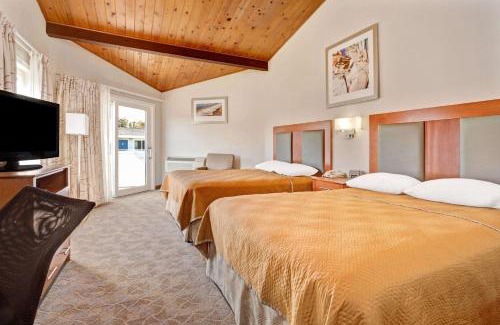 Mill Valley Hotel | Travelodge by Wyndham Mill Valley/Sausalito
