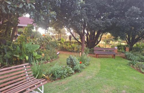 Krugersdorp Apartment | Tree Living