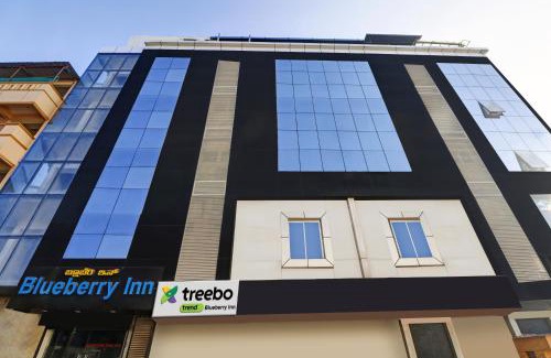 Domlur Hotel | Treebo Blueberry Inn