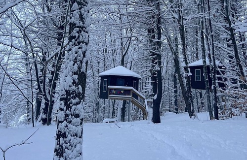 Hartland Cabin | Treehouse at Wise Pines- NoBo