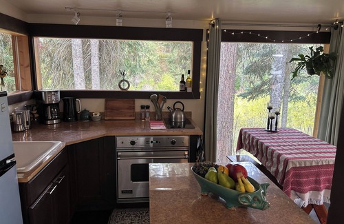 McCall Apartment | Treehouse Gem - Pet Friendly Riverfront Studio