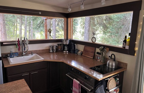 McCall Apartment | Treehouse Gem - Pet Friendly Riverfront Studio