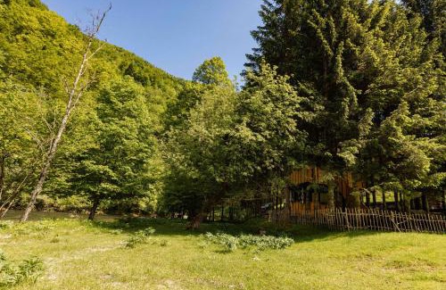 Sarsoni Other | Treehouse KUPARI Nacionalni park Risnjak