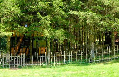 Sarsoni Other | Treehouse KUPARI Nacionalni park Risnjak