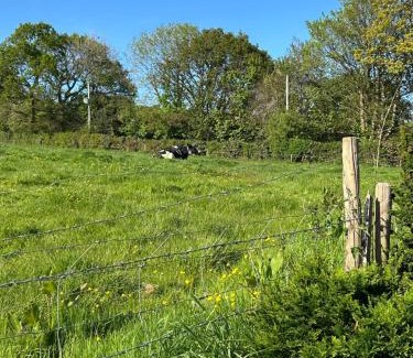 Callington House | Trelowen Cottage