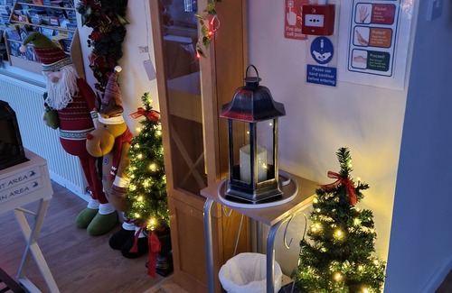 Newquay Bed & Breakfast | Trevarrian Lodge