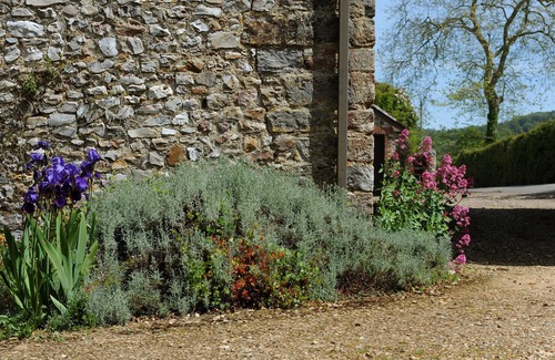 Axminster Cottage | TRILL COTTAGE, pet friendly, with open fire in Musbury