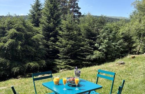 Chalmazel-Jeansagniere Apartment | Triplex cosy avec sauna et wifi à Chalmazel - FR-1-496-338