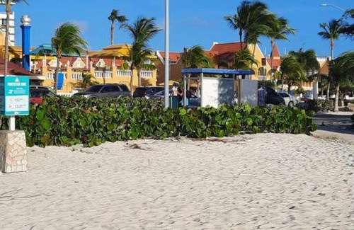 Santa Cruz Apartment | Tropical escape - located In the heart of Aruba