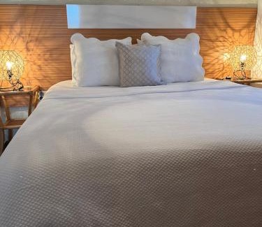 Campanario House | Tropical House