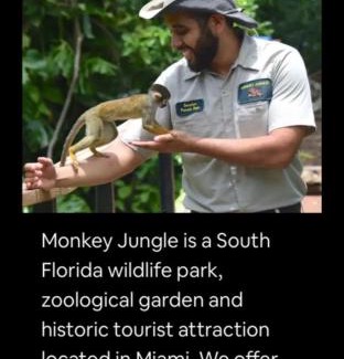 Ludlam House | Tropical Studio