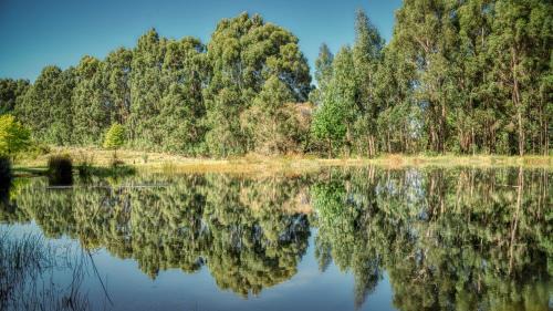 Dullstroom House | Trout Escape Farm