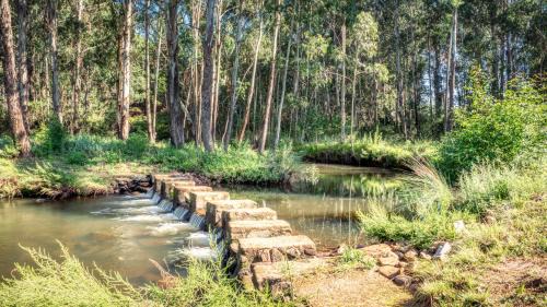 Dullstroom House | Trout Escape Farm