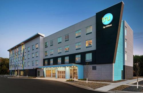 Duluth Hotel | Tru By Hilton Duluth Mall Area