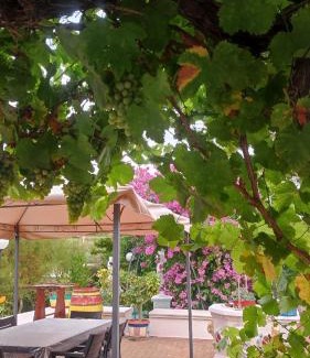 Monopoli Apartment | Trullo Nonna Rosa