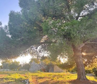 Galatone Apartment | Trullo Nonno Nino