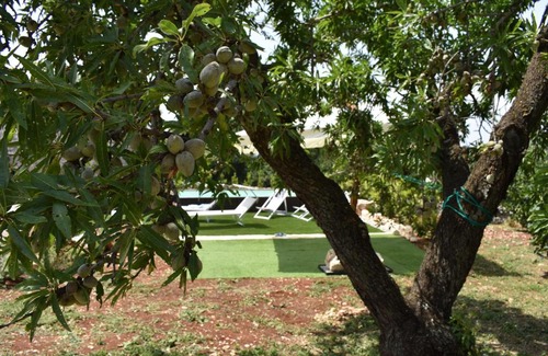 Casalini House | Trullo Terrarossa