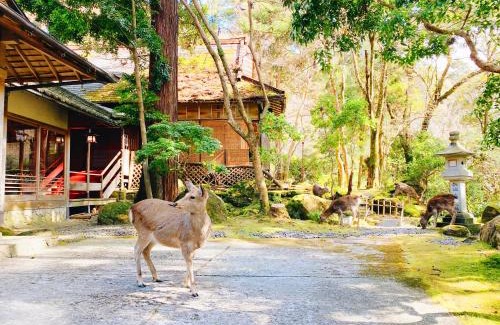 Nara Hotel | Tsukihitei