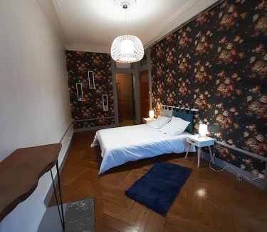 Tulle Apartment | Tulle Centre : grand et bel appartement