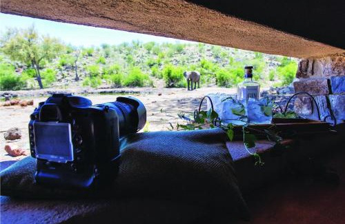 Madikwe Game Reserve Cabin | Tuningi Safari Lodge