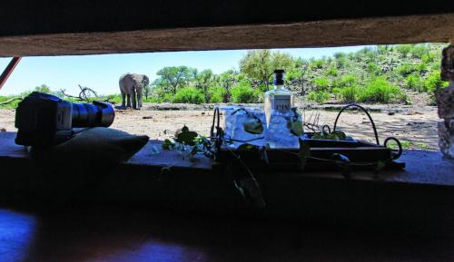 Madikwe Game Reserve Cabin | Tuningi Safari Lodge