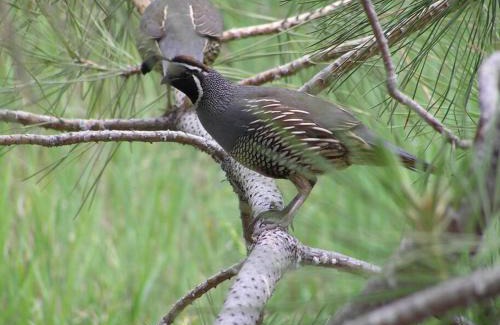 Okanogan County House | Tunk Valley Ranch House