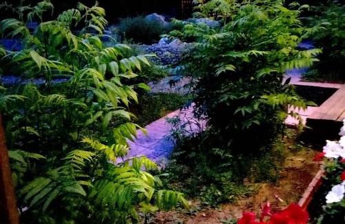 Arshan Hotel | Tuyana Hotel