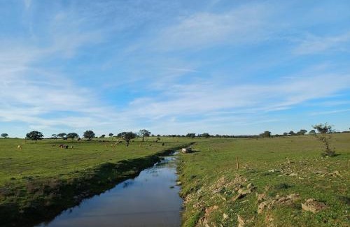 Aldeia dos Palheiros House | Twin Room Sofia's Happy House WC Privada Porta ao lado