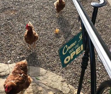 Sawdon Bed & Breakfast | Twin Room The Anvil Bed and Breakfast