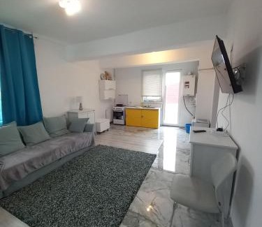 Bucharest Apartment | Twins Residence 2 APART HOTEL Ap 6 2 rooms