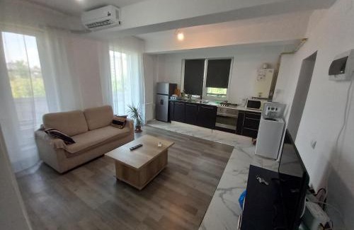 Bucharest Apartment | Twins Residence 2 APART HOTEL AP 2 2 rooms