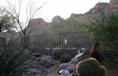 Gold Canyon House | Two Mountain Views in Gold Canyon