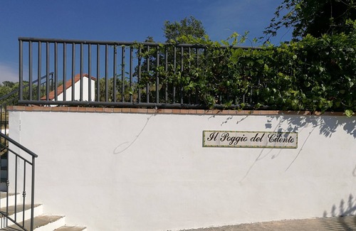 Agropoli Apartment | Two room apartment with pool