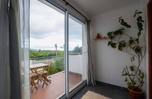 Ribeira Grande House | Two-room beauty in exotic fruit orchard