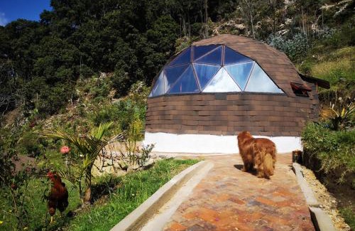 Combita Other | Tybyn Geo Lodge