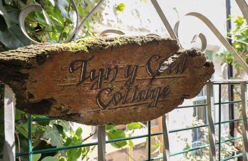 Barmouth House | Tyn Y Coed Cottage