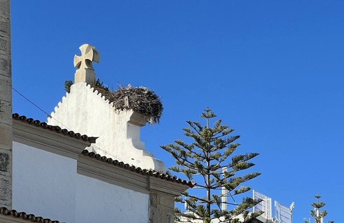 Olhao House | Typical house in the heart of the historic center of Olhao