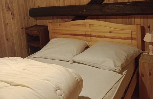 La Lechere Ski Chalet | Typical Savoyard chalet for calm mountain lovers.