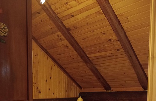 La Lechere Ski Chalet | Typical Savoyard chalet for calm mountain lovers.