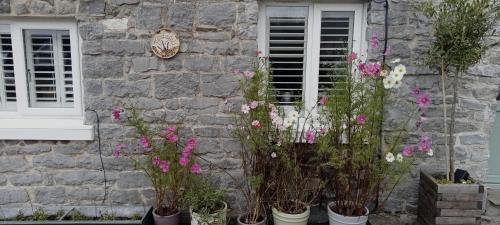 Porthyrhyd Bed & Breakfast | Tyrstafell