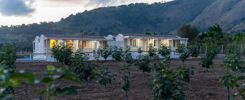 Santa Domenica Talao Other | u Fico du Biggiunu