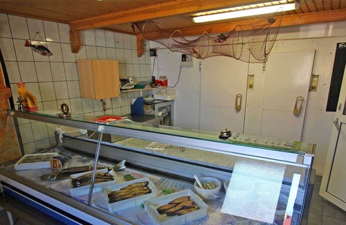 Lychen Apartment | UCK 2071 - Carp - Apartments at the fisherman Lychen UCK 2070