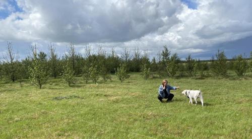 Hella House | Ugla Gistihús (Ugla Guesthouse)