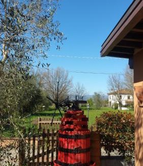 Querce House | Ulivo Della Querce