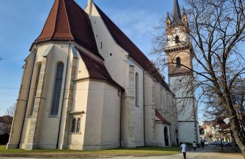 Bistrita Apartment | Ultracentral Garage studio