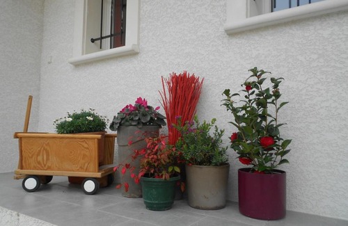 Villepinte House | Un bouquet de Tangissart